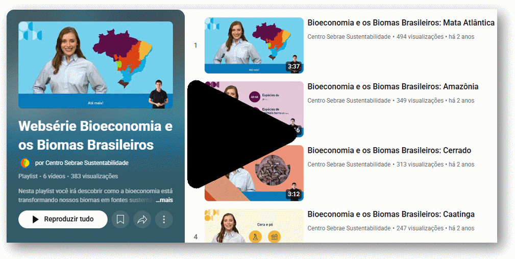 saiba-mais-sebrae